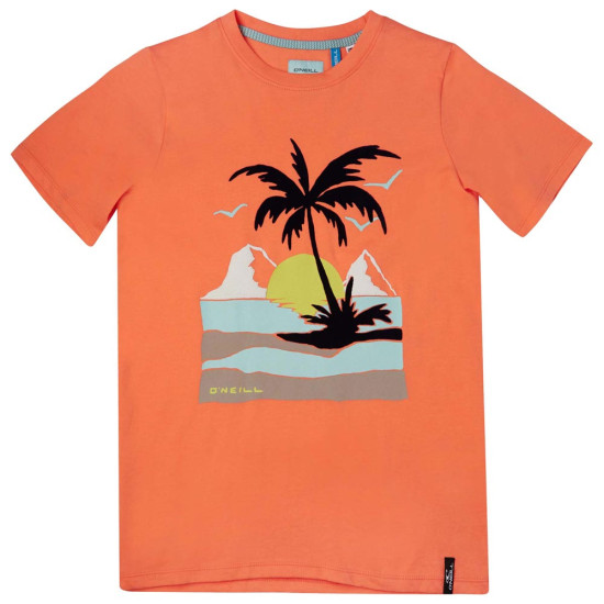 O'neill Παιδική κοντομάνικη μπλούζα O'neill Παιδική κοντομάνικη μπλούζα